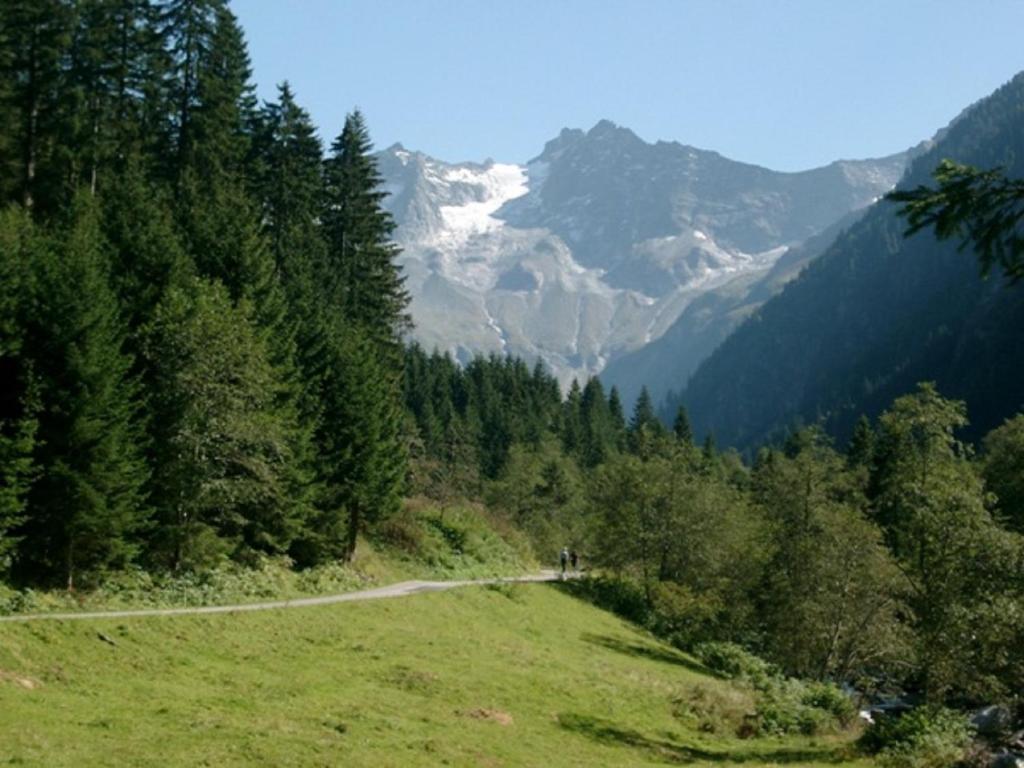 Holiday home Helene Mayrhofen